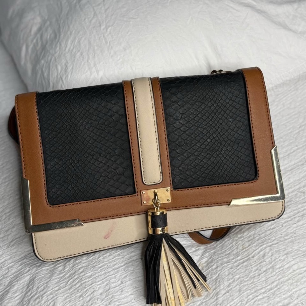Aldo Black and Brown Clutch with Gold Hardware
